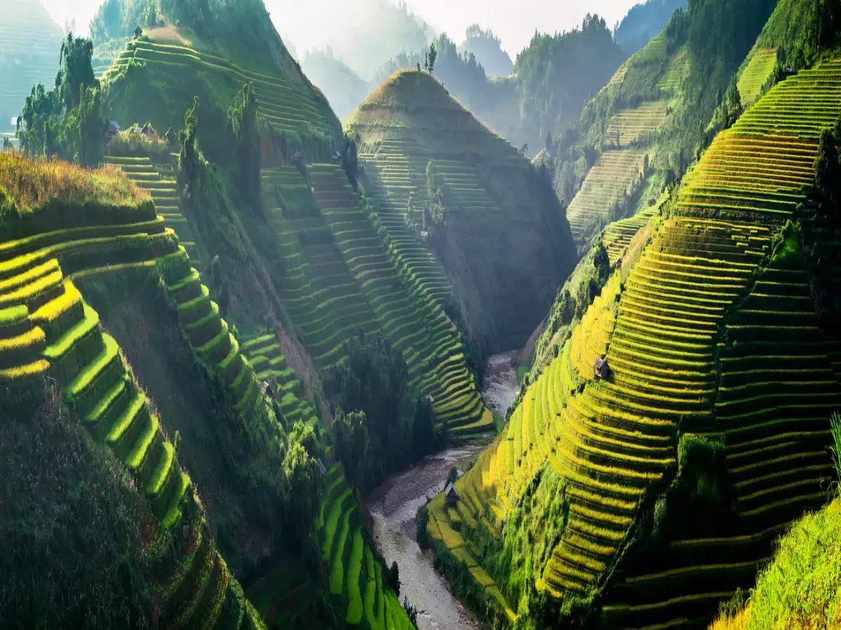 Sapa Terraces